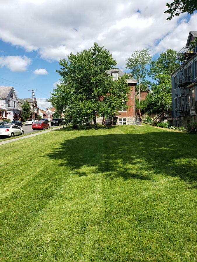 Apartment Modern Style And Comfort Near Uc Cincinnati